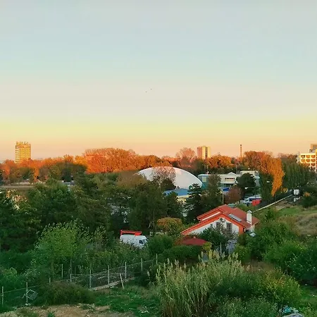 Beautiful By The Mamaia *